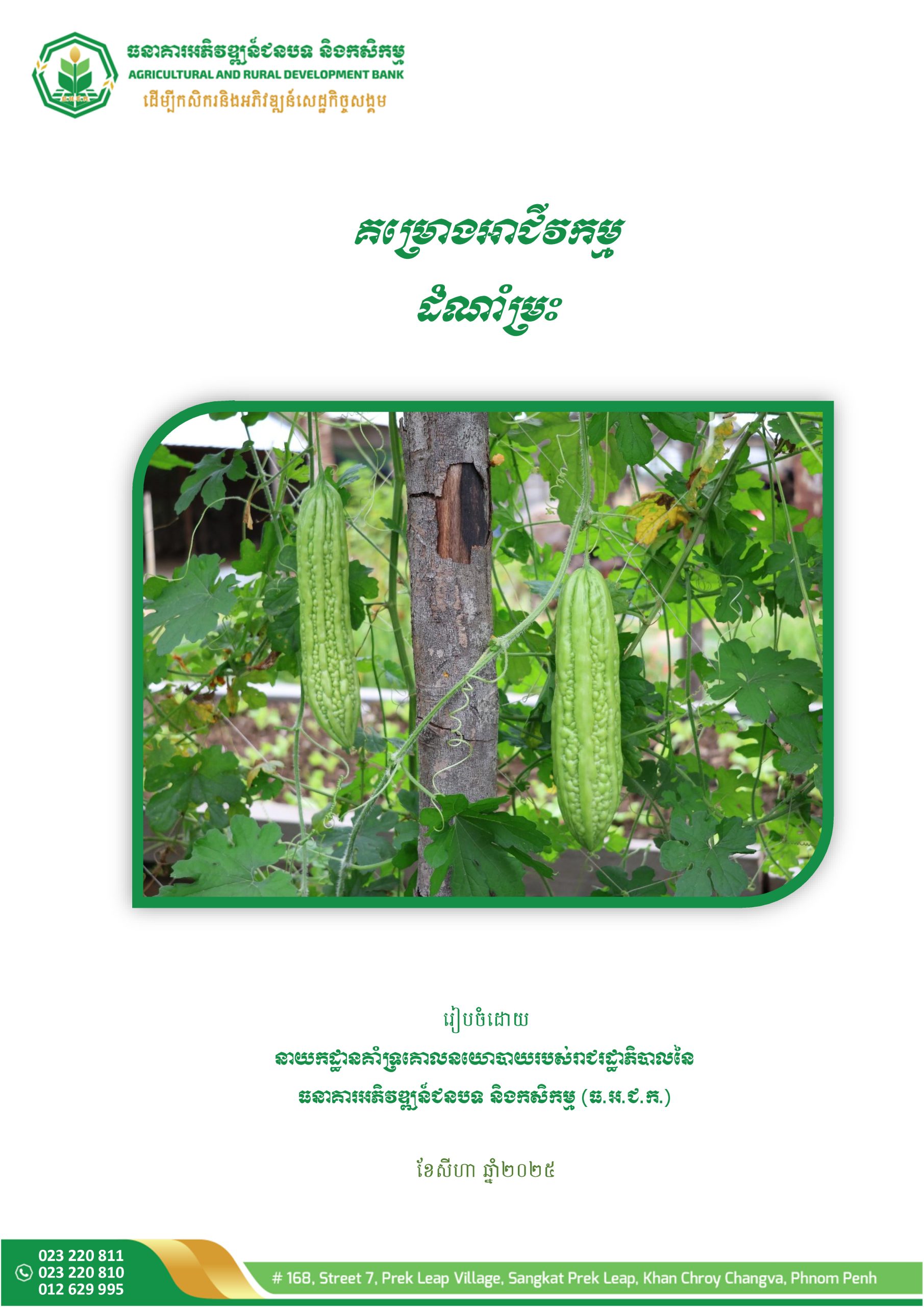 Bitter Gourd Cultivation Business Project